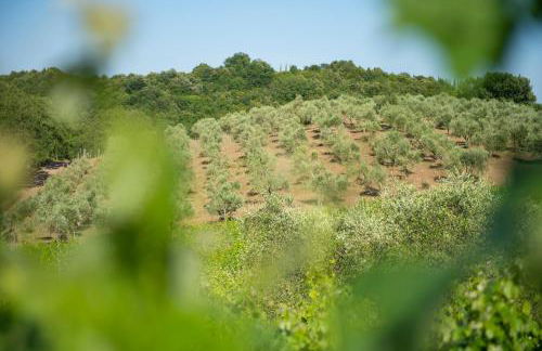 Agriturismo Poggio Corbello - Foto 98