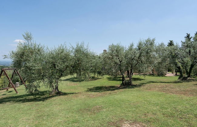 Fi-d895-gate0at - L Oliveta 6 - Foto 45