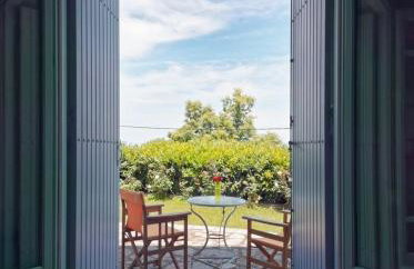 Tsagkarada Country Estate with Pool - Foto 23