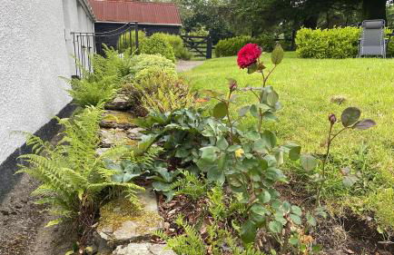 Winstitchen Cottage situated near the River Barle - Foto 52
