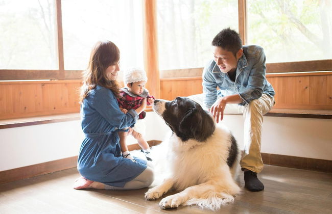 Tateshina Wanwan Paradise Cottage - Foto 1