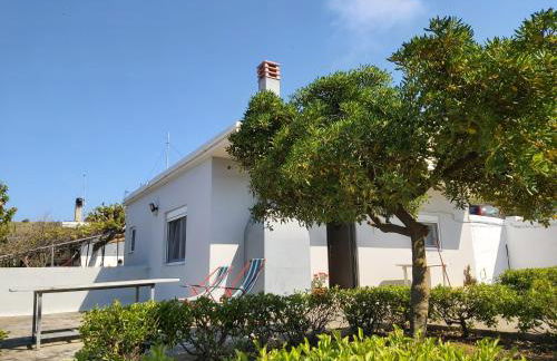 Giannis Stella apartment - Foto 4