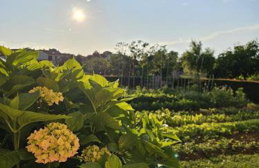 Studio Ivona - Foto 15