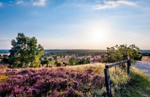 Ferienwohnungen Zum Hülsenbusch - Foto 35