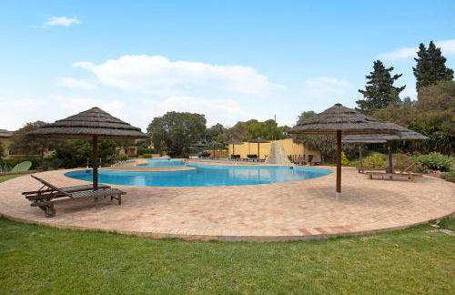 Arrancada 7 - Photo 2