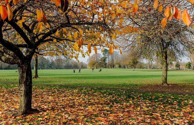 The Suite Cardiff City Centre Private Parking - Foto 31