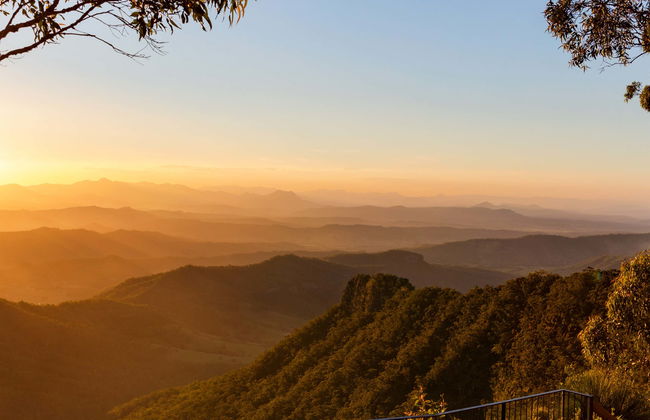 Tour do vinho pela montanha Tamborine - Foto 1