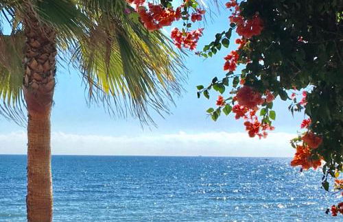 MARBELLA - ALICATE BEACHFRONT Apartment-9 - Photo 46