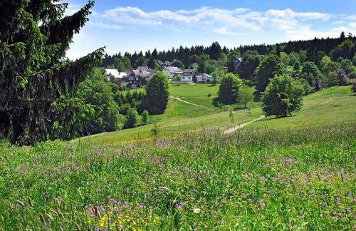 Panoramaferienwohnung Bergwiese - Foto 14