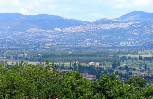 Genius Loci Country Inn - Photo 56