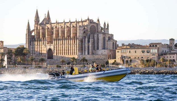 Admiring the Cathedral of Santa Maria of Palma