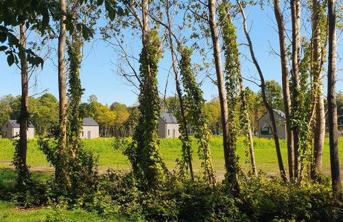 Bujanie w sitowiu - Foto 9