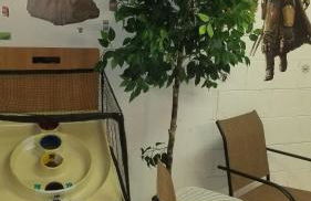 Orlando Mouse Manor - Foto 61