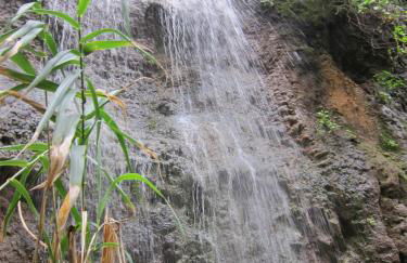 Villa Deluxe Suites Maspalomas - Photo 71