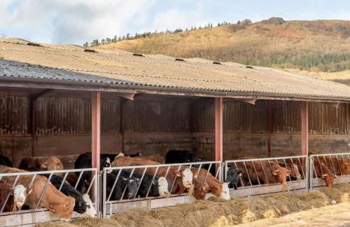 2 Bed in Shrewsbury oc-77771 - Foto 21