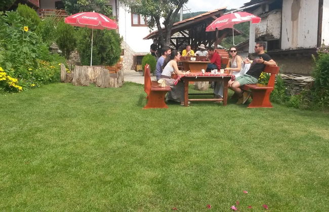 The Sharkov House - Photo 12