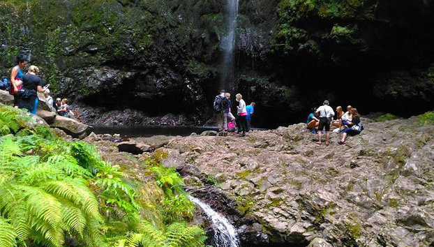 Caminata a Levada do Caldeirão Verde desde Funchal - Foto 2