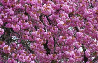 Moulin De Coupigny - Foto 59