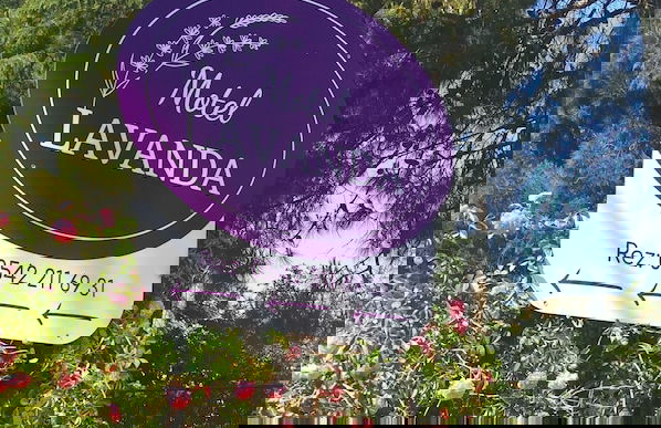 Motel Lavanda - Foto 17