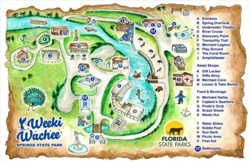 Bonne Nuit Weeki Wachee - Foto 30