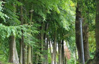 Gîte, Le Séchoir à Lin demeure de charme - Foto 18