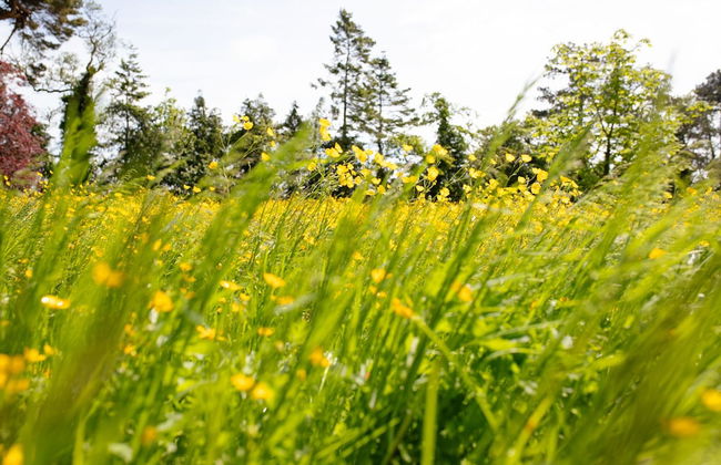 Brookhall Cottages - Foto 53