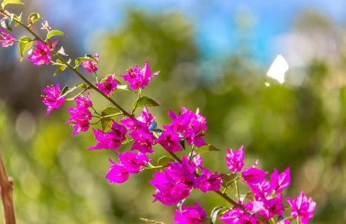 Apartments Ivan Sea View in Peaceful Lun - Photo 72