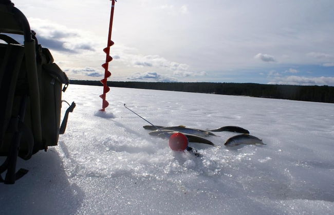 Finnskogen Turistsenter - Photo 19