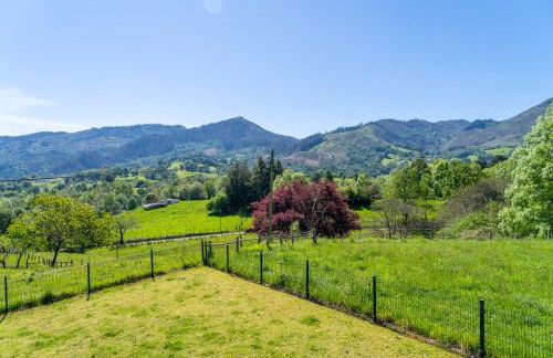 Preciosa casa rural en Nava - Foto 39