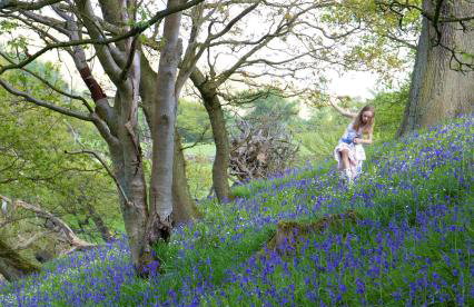 Bluebells Cottage - Photo 27