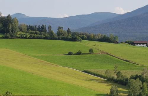 Wohnung Wiesengrün - Osserblick - Photo 23