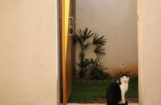 Statera Host - Foto 59