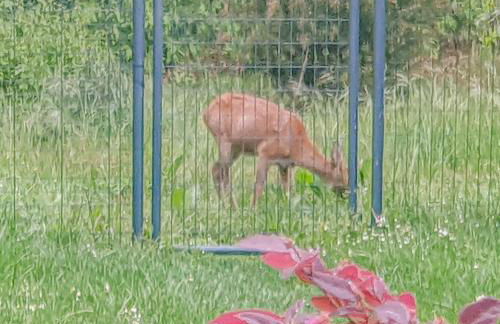 Villa Côte & Vigne - Cozy villa with swimming pool - Foto 6