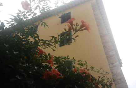 Casa Massa - Foto 34