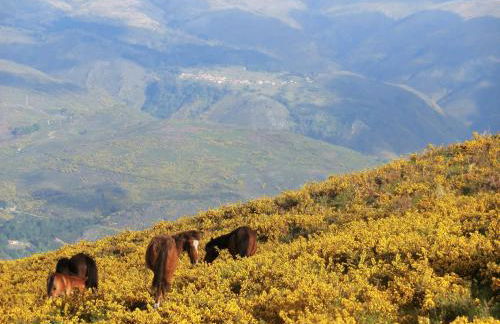 Casa de Pereiró - Foto 55