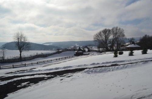 Sokolisko - domki całoroczne z kominkiem - Foto 20