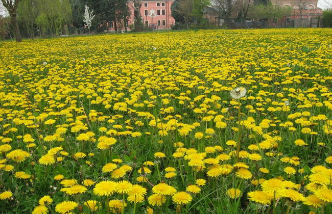 Apartment in Pontecchio With Pool & Tennis - Foto 20