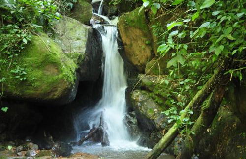 Chalé Lavanda - Espaço Garden Margarida - Foto 36