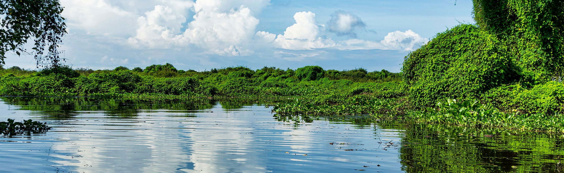 Paseo en barco por el lago Tonlé Sap