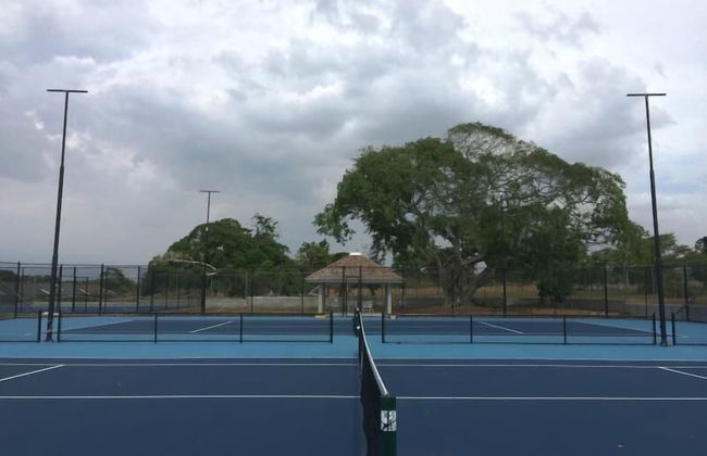 Ocho Rios Villa at The Palms - Foto 43