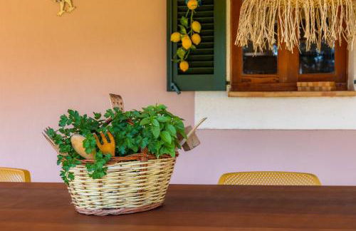 Can Pamboli - Foto 25