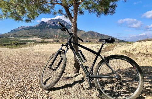 LAS DUNAS Caves - Granado - Foto 26