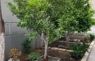 Super renovated maisonette - Σούπερ ανακαινισμένη μεζονέτα - Foto 31