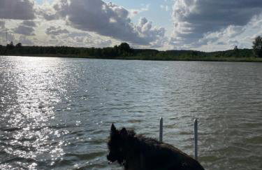 Villa Wejsunka - Foto 30