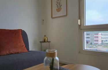 302 - 2 pièces tout équipé à Strasbourg - Foto 3