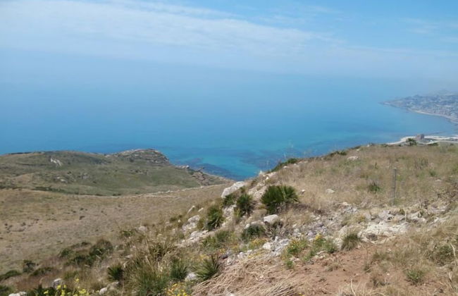 Daphnae House - Foto 43