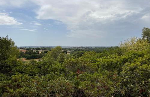 Grano Arso Appartamento Turistico - Foto 61