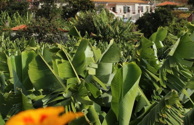 Vila Marta - Foto 23