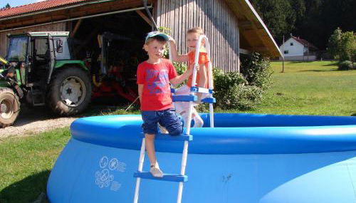 Bauernhof in Spandlberg am Hohe Bogen - Foto 4