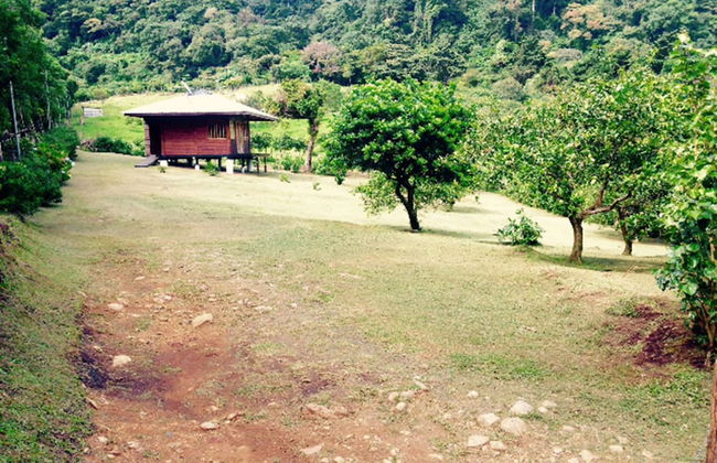 Lemon House Monteverde - Foto 7